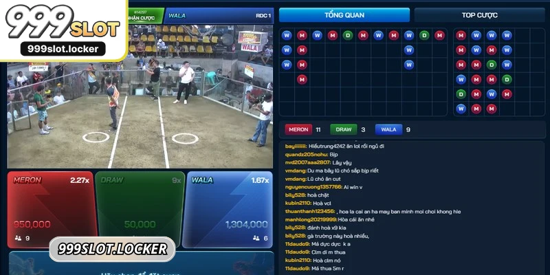 Các trận đá gà Mỹ thường diễn ra theo luật riêng chuyên nghiệp